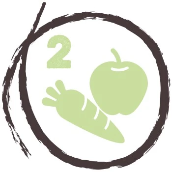 PREMIERE RAW KITCHEN Reisflocken Mit Gemüse 1,5kg – Bild 3