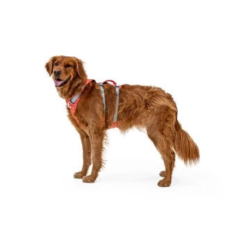 Ruffwear Flagline™ Geschirr Pink L-XL – Bild 2