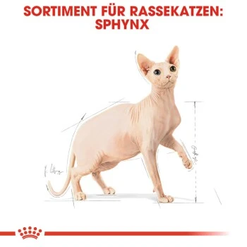 ROYAL CANIN Sphynx Adult 10 Kg – Bild 7