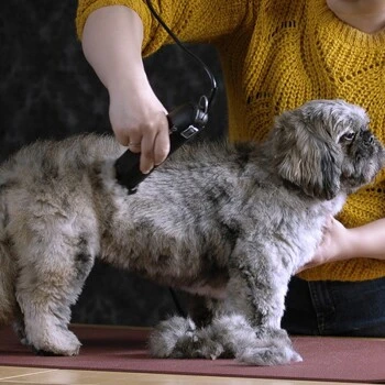 Moser Schermaschine Max 45 Inkl. ASK – Bild 4