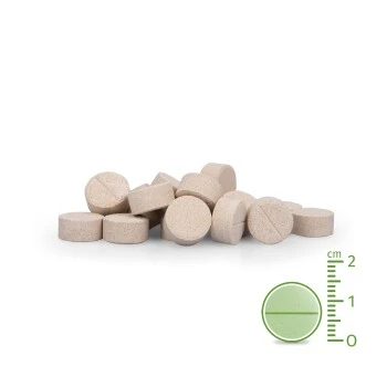 Aniforte Plus Magen & Darm 90 Tabletten – Bild 2