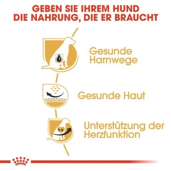 ROYAL CANIN Dalmatian Adult 12 Kg – Bild 4