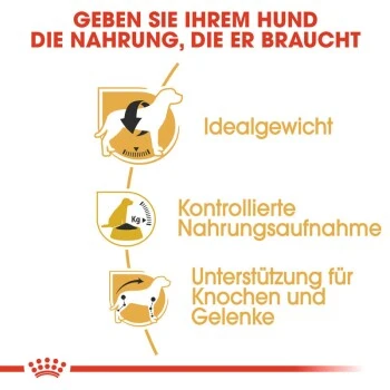 ROYAL CANIN Beagle Adult 3 Kg – Bild 4