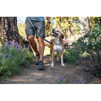 Ruffwear Chain Reaction™ Halsband Blau L – Bild 5