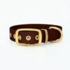 THE DOG IDEA Biothane Halsband Gold Braun XS