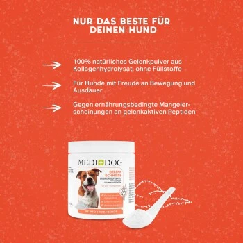 MediDog Gelenkschmiere – Bild 3