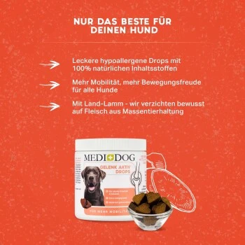 MediDog Gelenk Aktiv Drops – Bild 3