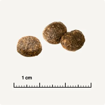 REAL NATURE WILDERNESS Adult Probierpaket Mixpaket 1, Mix-Pack – Bild 8