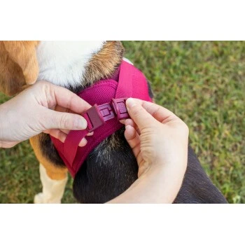 Curli Vest Harness Clasp Air-Mesh Grün XXXS – Bild 6