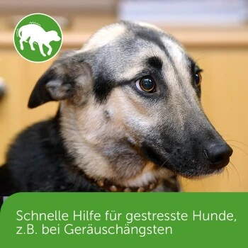 ADAPTIL Chew 30 Stück Anti Stress Snack – Bild 4