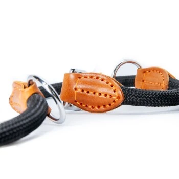 Freudentier Runde Hundeleine Aus Nylon – Bild 8