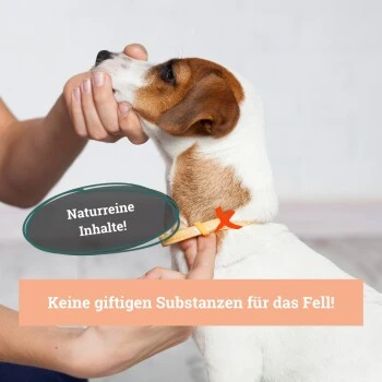 BeG Buddy Fellspray Zecke – Bild 5