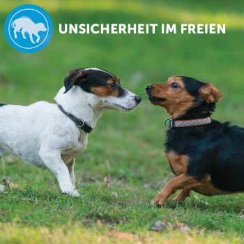 ADAPTIL Calm Halsband Anti Stress Erziehungshalsband S-M – Bild 6