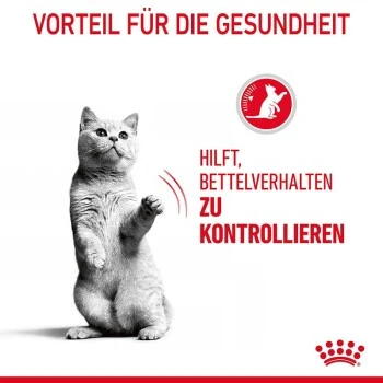 ROYAL CANIN Appetite Control Care 10 Kg – Bild 5