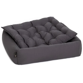 Pointer Liegeplatz Anthrazit M – Bild 7