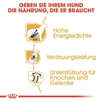 ROYAL CANIN Deutsche Dogge Adult 12 Kg – Bild 5