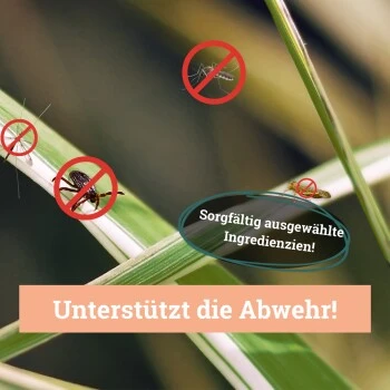 BeG Buddy Fellspray Zecke – Bild 6