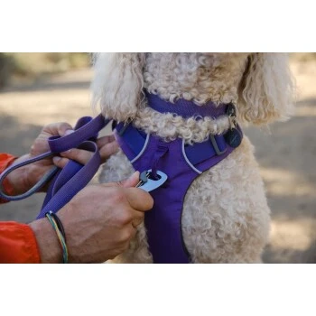 Ruffwear Front Range™ Leine Violett – Bild 7