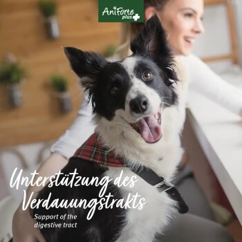 Aniforte Plus Magen & Darm 90 Tabletten – Bild 3