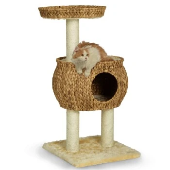 Silvio Design Kratzturm Cestino – Bild 4