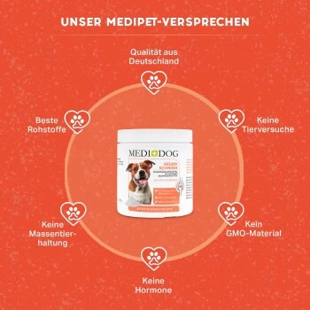 MediDog Gelenkschmiere – Bild 4