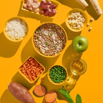 Fred & Felia FRED 10x390g Huhn Mit Reis â Bild 4