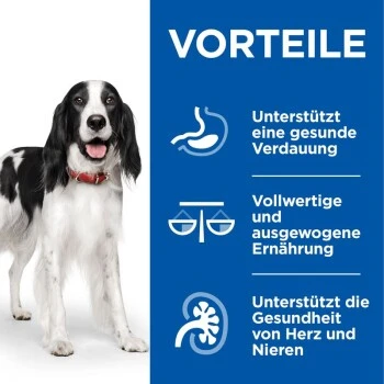 Hill's Science Plan Healthy Cuisine Adult Chicken & Beef Ragout 12x90 G – Bild 2